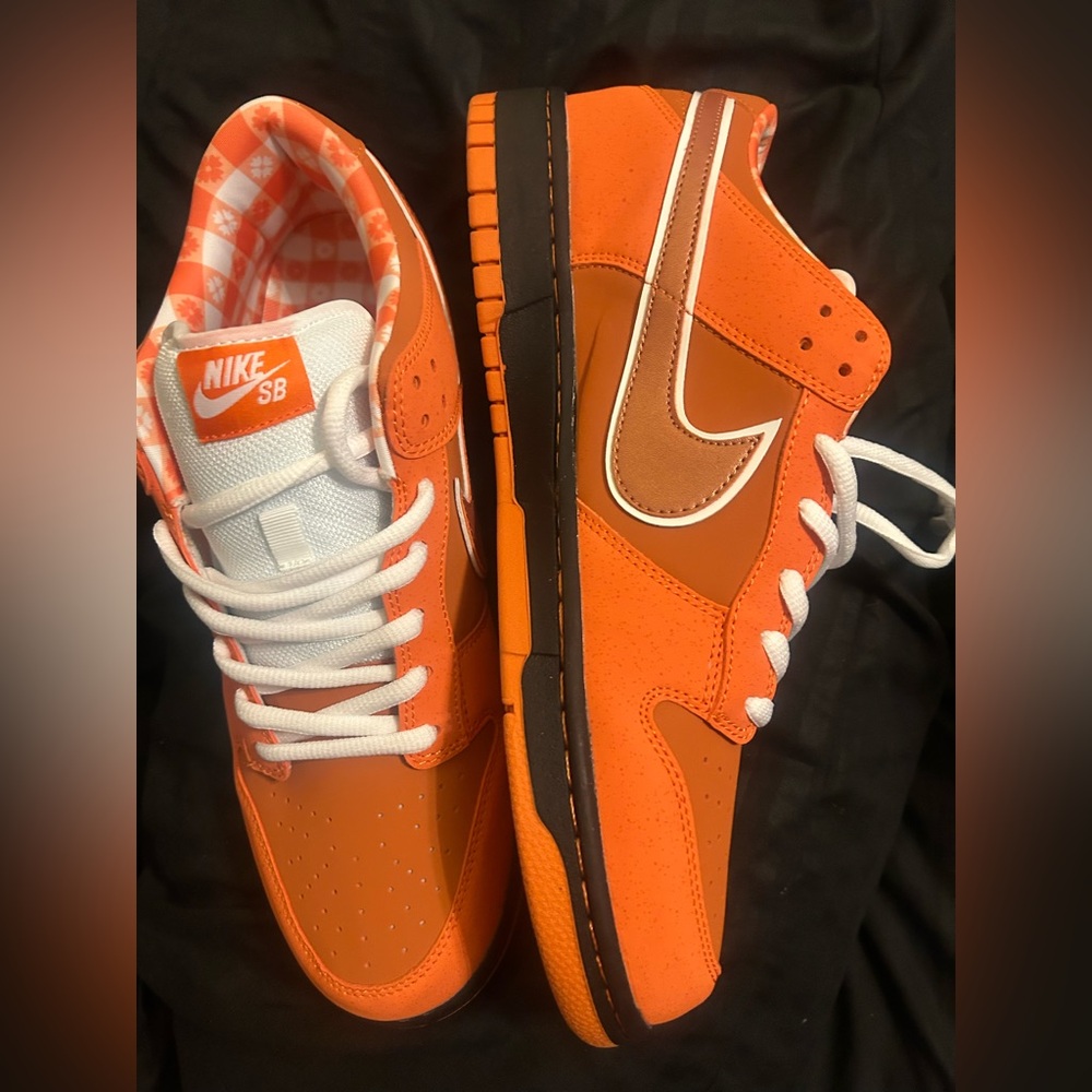 Nike SB Orange Sneakers -BNWT